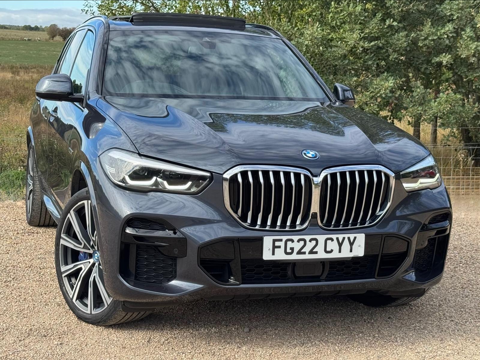 2022 BMW X5